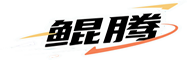 内蒙古鲲腾软件有限责任公司